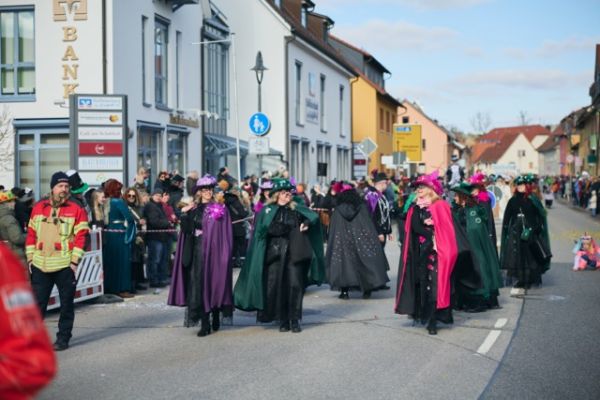 mittel-2026-02-15-rkg-karnevalsumzug-01-0869770EFD5-E6C6-F564-A401-AF94512CDC20.jpeg